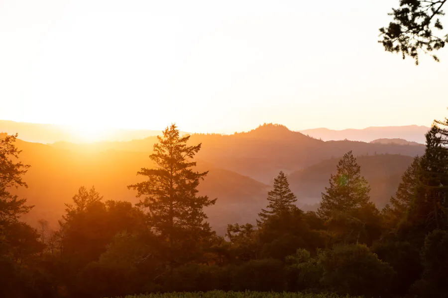 Sunset over a forested mountain landscape evokes the tranquil beauty often seen during Napa Valley Events, with silhouettes of pine trees and hazy golden light illuminating the sky and hills.